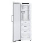 Image de Congélateur armoire LG GFT61SWCSE 2