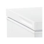 Image de Congélateur coffre FRIGELUX CCO300BD 3